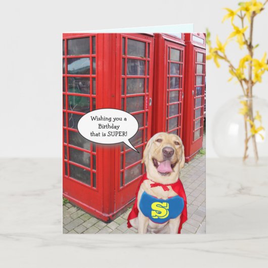 Grappige hond / Lab Super Verjaardag Kaart (Gele Bloem)