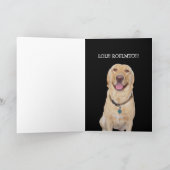 Grappige hond / Lab Verjaardag Kaart (Binnen)
