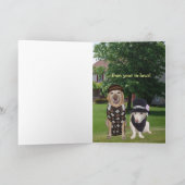 Grappige hond / Lab verjaardag voor mannelijke fie Kaart (Binnen)