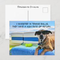 Grappige hond liefde tennis ballen vakantie pensio