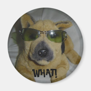 Grappige Hond Magneet