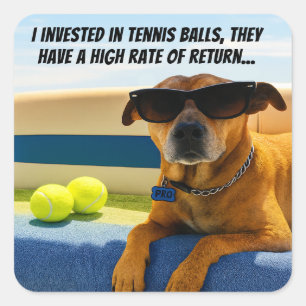 Grappige Hond Pensioen Boot Tennisballen Zonnebril Vierkante Sticker