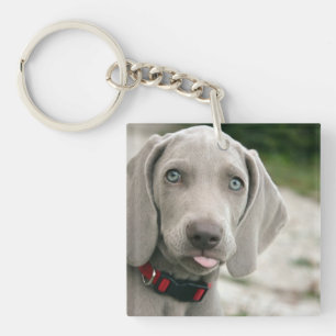 Grappige Hond Steekt Tong Uit Foto Sleutelhanger