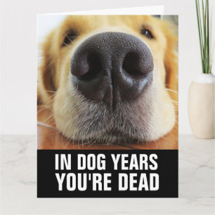 GRAPPIGE HOND VERJAARDAG HOND KAART