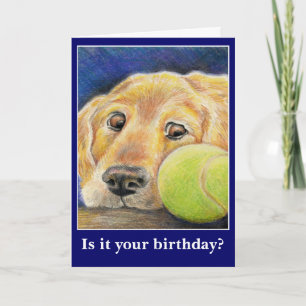 Grappige hond verjaardag of andere gelegenheid kaart