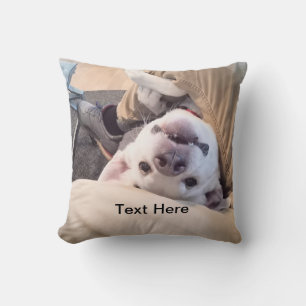 Grappige Hond Wordt Niet Genegeerd Komische Foto Kussen