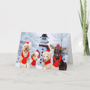 Grappige honden seizoensgroeten feestdagen kaart