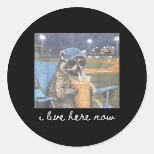Grappige Honkbalveld Baseball Wasbeer Ijs Koffie L Ronde Sticker