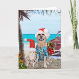 Grappige Huisdieren Hawaiian / Surfer Kerstmis Feestdagen Kaart