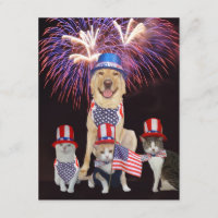 Grappige huisdieren op 4 juli uitnodiging