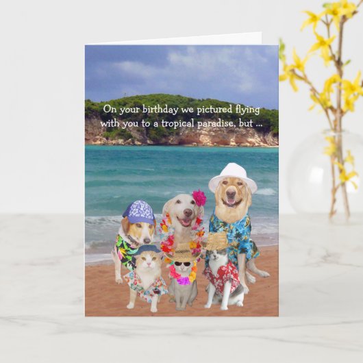 Grappige Huisdieren Tropisch Paradijs Verjaardag Kaart (Gele Bloem)