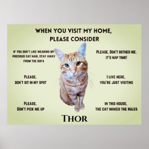 Grappige huisregels (gepersonaliseerd met kattenfo poster
