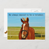 Grappige Humor Paard Rendier Kerstmis Feestdagenkaart (Voorkant / Achterkant)