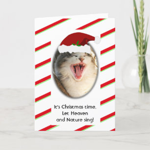Grappige humoristische zingende kat Kerstmis Feestdagen Kaart