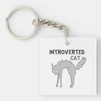 Grappige introverte kat sleutelhanger | cadeau voo