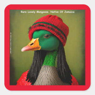 Grappige Jamaicaanse Mango Canadese Reggae Gans Vierkante Sticker