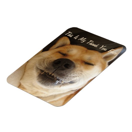 grappige Japanse akita met een leuke glimlach beda Magneet (Linkerzijde)