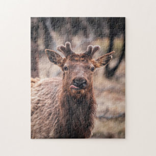 Grappige jonge stier eland wild dier legpuzzel