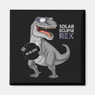 Grappige jongens Zonsverduistering Rex 04 08 Magneet