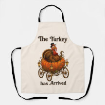 Grappige Kalkoen Pompoen Thanksgiving