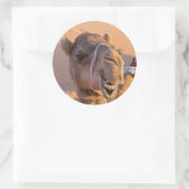 Grappige Kameel Ronde Sticker (Tas)
