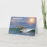 Grappige kameel surfen in de oceaan Verjaardag Kaa