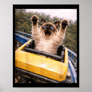 Grappige kat-achtbaan grappige meme-afbeelding poster