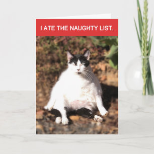 Grappige kat at de stoute kerstlijst van de kerstm kaart