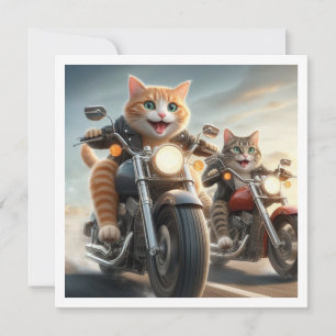 Grappige kat bikers, katten op motorfietsen verjaa kaart