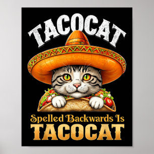 Grappige kat Cinco de Mayo Tacocat achterwaarts ge Poster