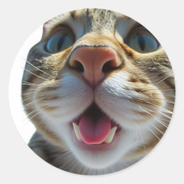 Grappige kat close-up | Goofy Schattigee Cat Art Ronde Sticker