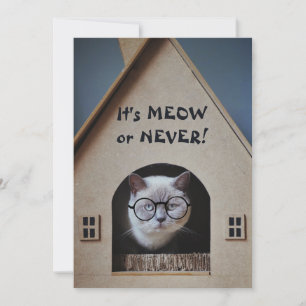 Grappige kat die een bril draagt Het is Miauw of N