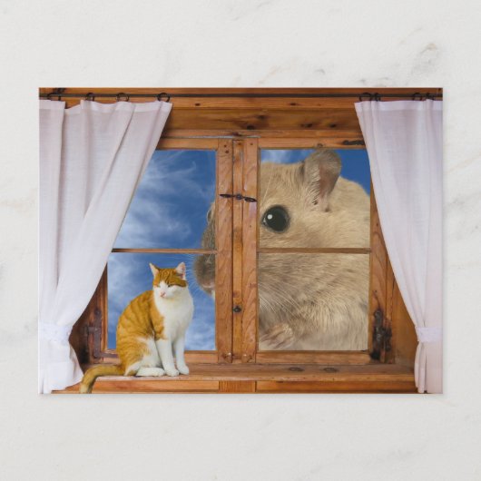 Grappige kat en muis briefkaart (Voorkant)