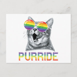 Grappige Kat Gay Pride Regenboog Zonnebril LGBTQ Briefkaart