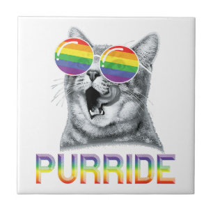 Grappige Kat Gay Pride Regenboonbril LGBTQ Tegeltje