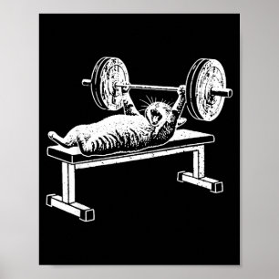 Grappige kat gym workout bankdrukken kat meme poster