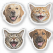 Grappige kat & hond gezichten met uw aangepaste fo sticker (Voorkant)