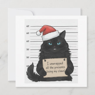 Grappige kat Ik heb alle cadeaus uitgepakt Feestdagenkaart
