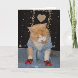  grappige kat in badjas wordt beter kaart