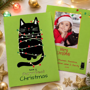 Grappige kat in lichtjes Purr-fecte foto Kerstmis Folie Feestdagenkaart