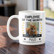 Grappige kat kantoor humor werknemer van de maand