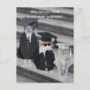  Grappige Kat/Kat Afgestudeerden Aankondigingskaart