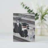  Grappige Kat/Kat Afgestudeerden Aankondigingskaart (Staand voorkant)