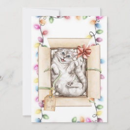 Grappige Kat Kerst Kaarten 2