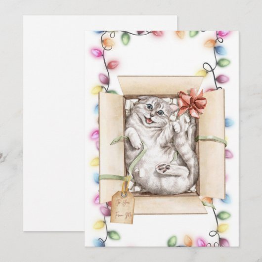 Grappige Kat Kerst Kaarten 2 (Voorkant / Achterkant)