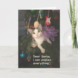 Grappige kat Kerstman Ik kan alles uitleggen Kerst Kaart