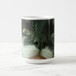 Grappige Kat Kitty Huisdier Foto Koffiemok