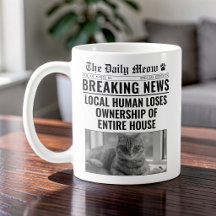 Grappige kat krant Breaking News Foto