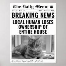 Grappige kat krant Breaking News Foto