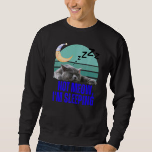 Grappige kat meme retro kat kattenliefhebber niet trui
